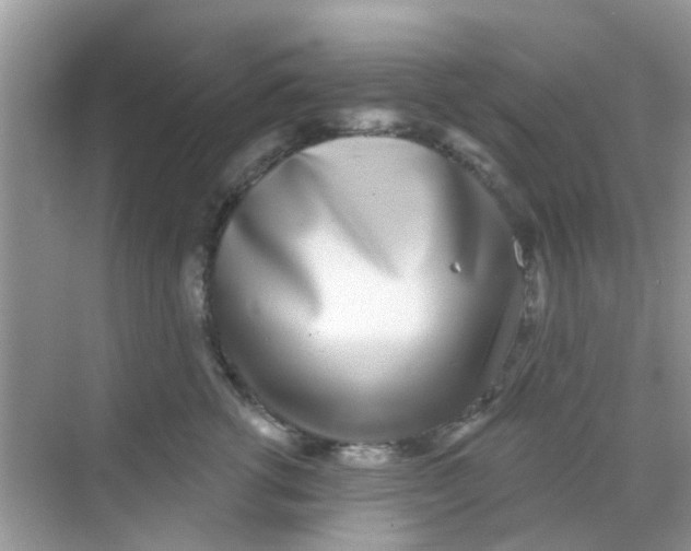 X0000068270762200605121846