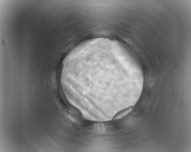 X0000068270764200605121846