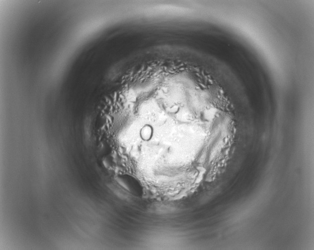 X0000068270765200605121846