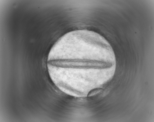 X0000068270768200605121846