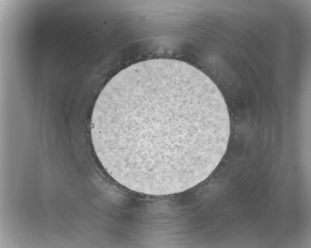 X0000068270769200605121845