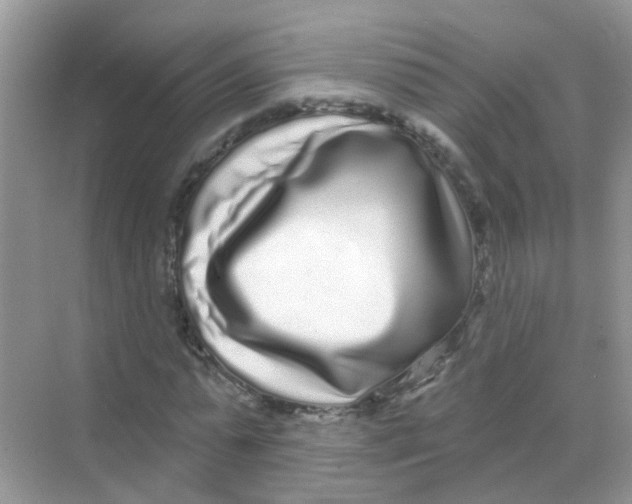 X0000068270775200605121845