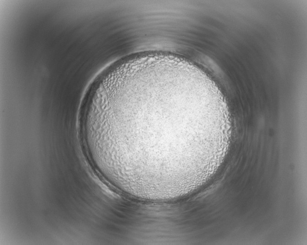 X0000068270780200605121845