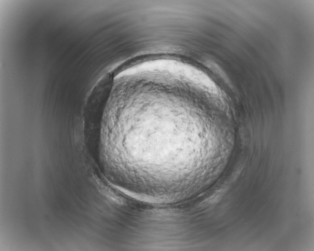 X0000068270781200605121845