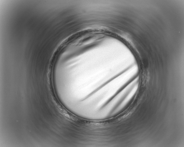 X0000068270783200605121845