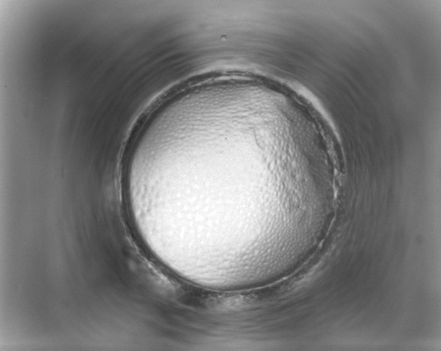 X0000068270791200605121845