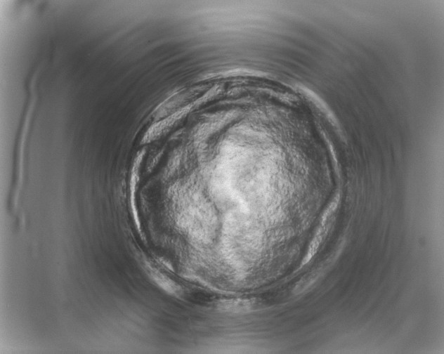 X0000068270793200605121845