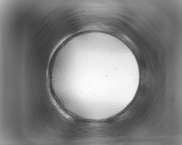 X0000068270796200605121845