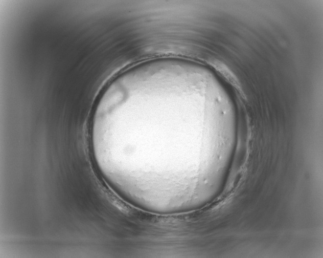 X0000068270798200605121845