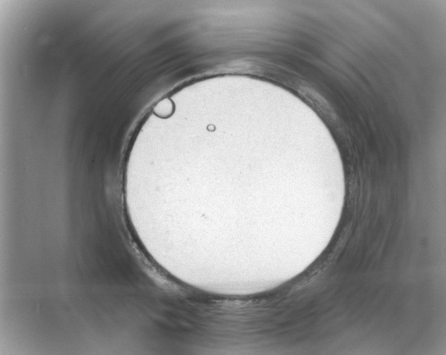 X0000068270800200605121844