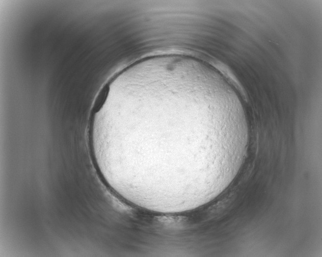 X0000068270805200605121844