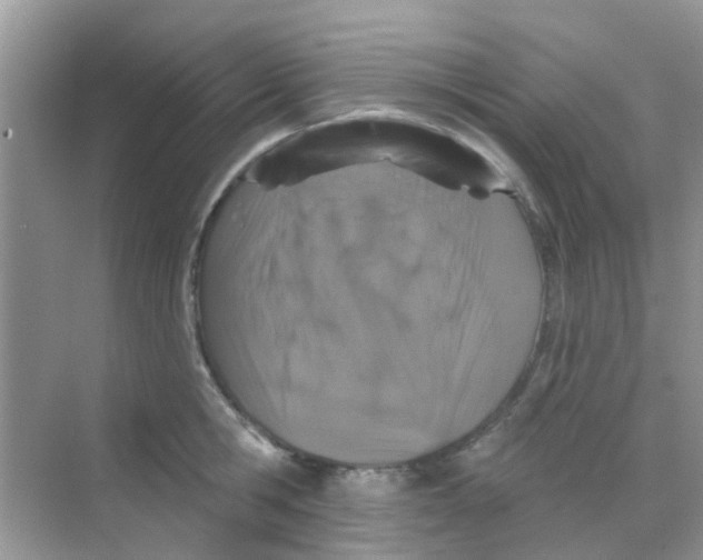 X0000068270806200605121844