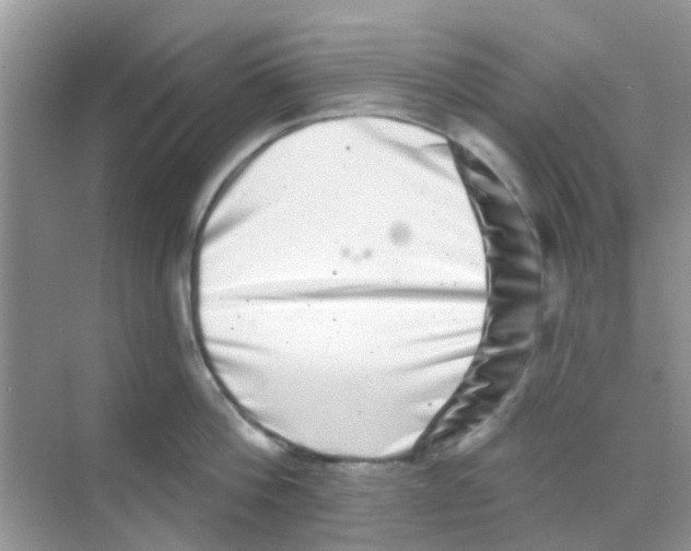 X0000068270812200605121844