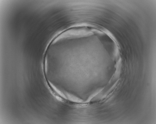 X0000068270813200605121844