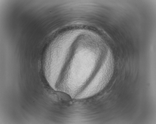 X0000068270821200605121843