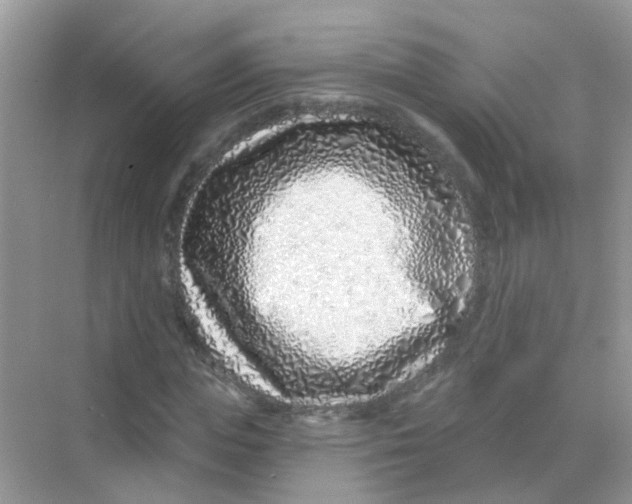 X0000068270823200605121844