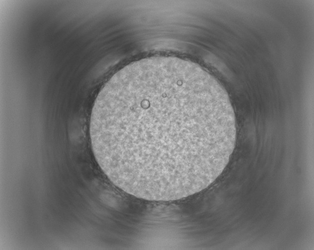 X0000068270824200605121844