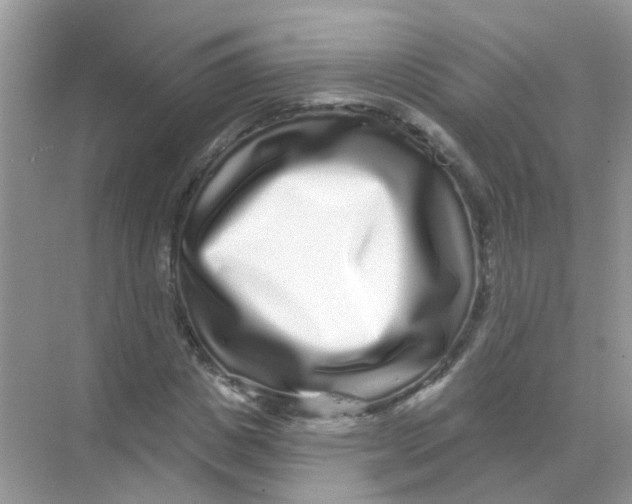 X0000068270825200605121844