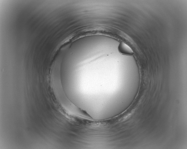 X0000068270826200605121844