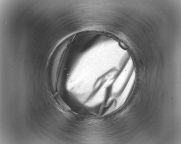 X0000068270830200605121844