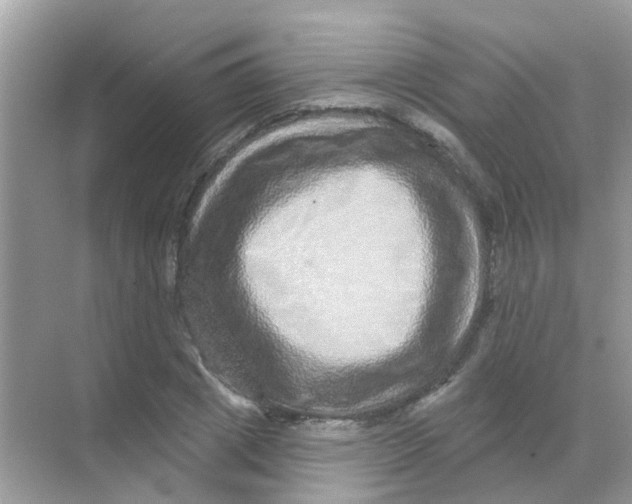 X0000068270833200605121844