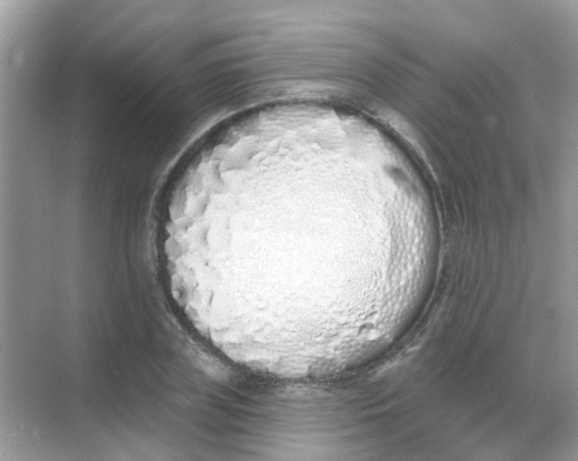 X0000068270835200605121844