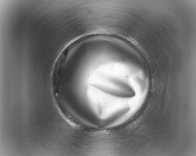 X0000068270838200605121844