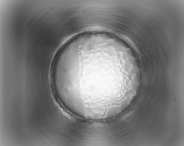 X0000068270839200605121844