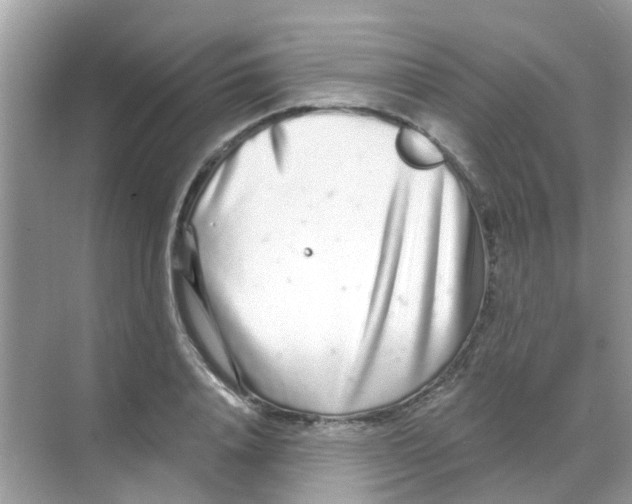 X0000068270840200605121844