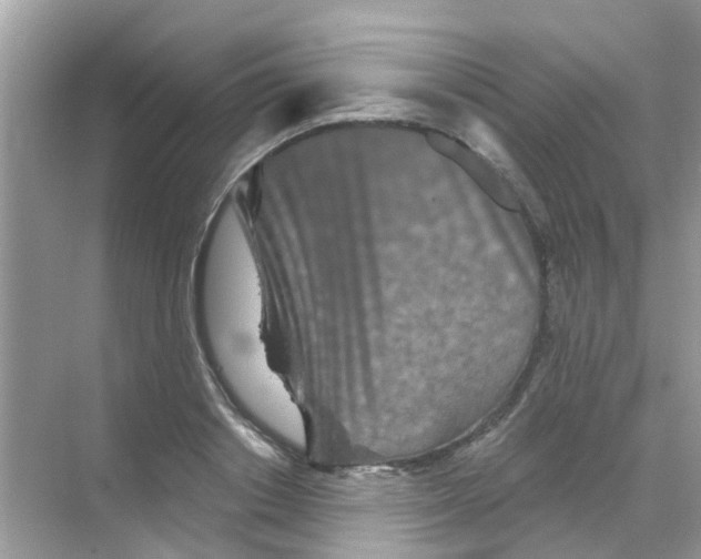 X0000068270842200605121844