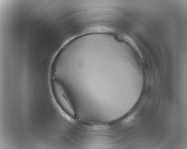 X0000068270843200605121844