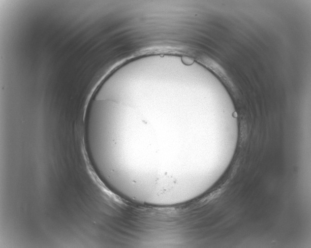 X0000068270844200605121844