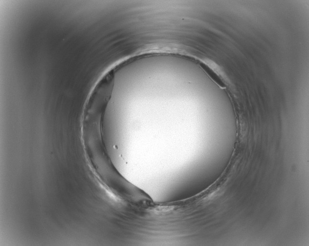 X0000068270846200605121844