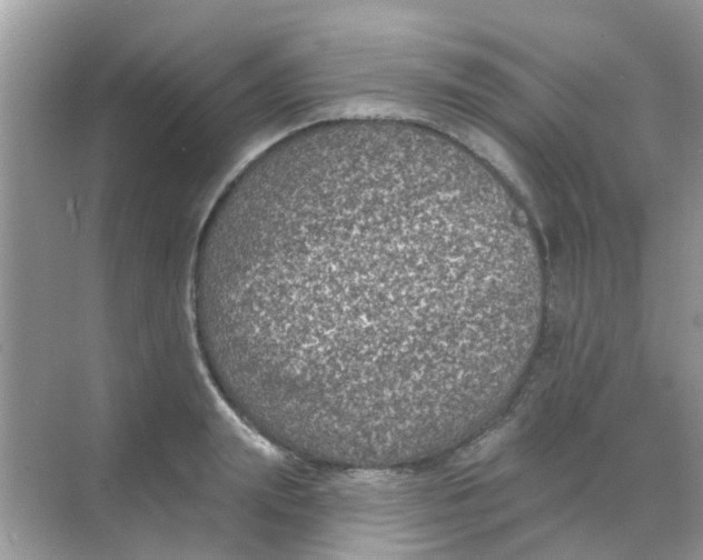 X0000068270847200605121844