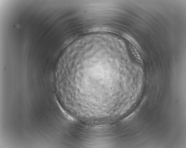 X0000068270849200605121844