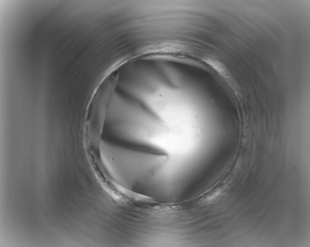 X0000068270850200605121844