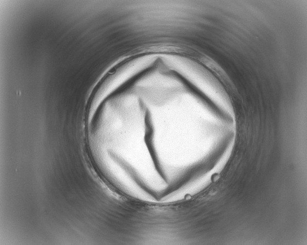 X0000068270852200605121844