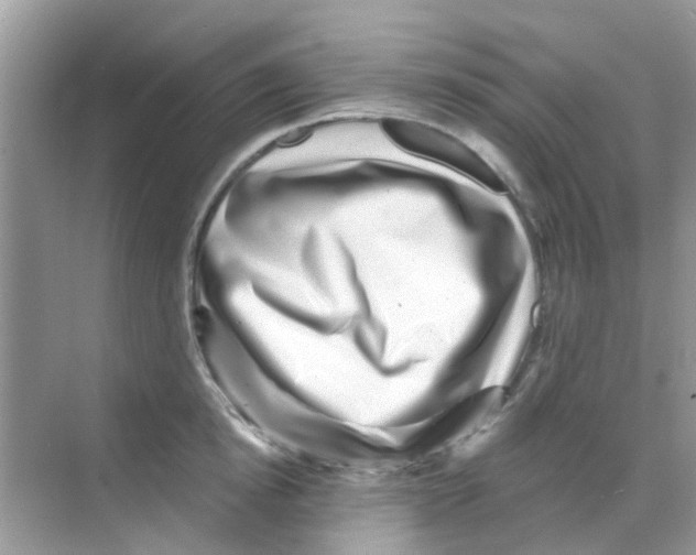 X0000068270854200605121844