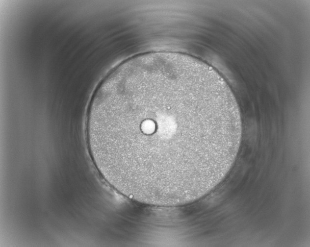 X0000068270856200605121844