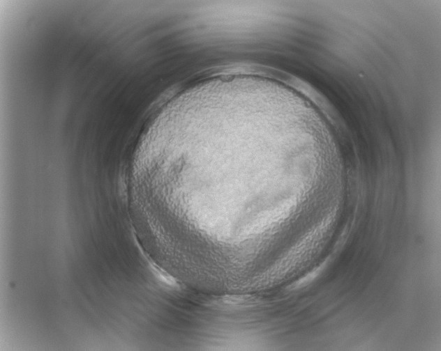 X0000068270857200605121844