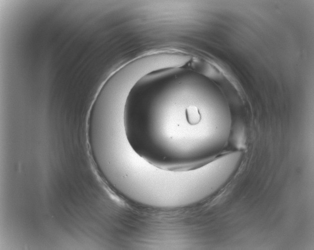 X0000068270858200605121844