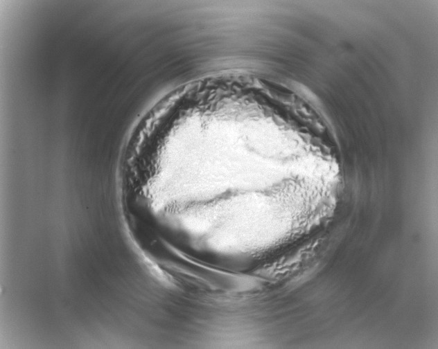 X0000068270859200605121844