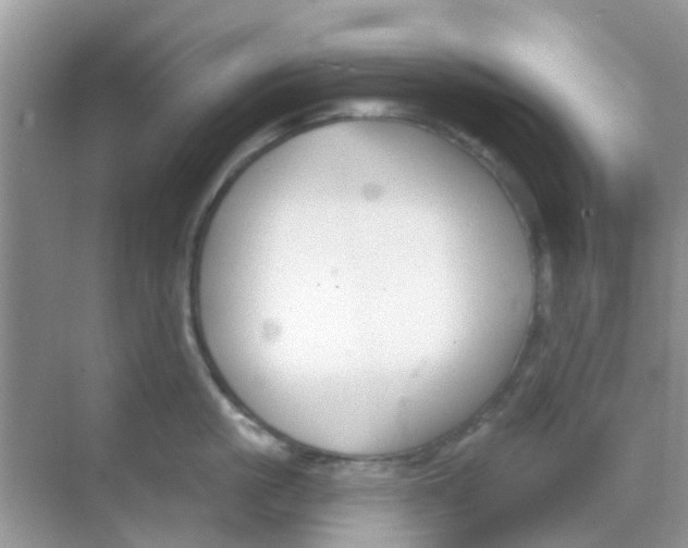 X0000068270861200605121844