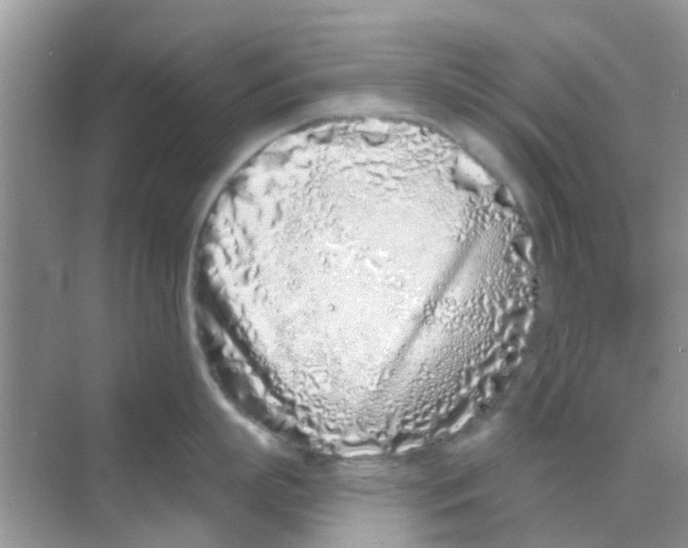 X0000068270863200605121844