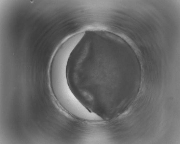 X0000068270864200605121844