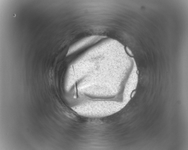 X0000068270866200605121843