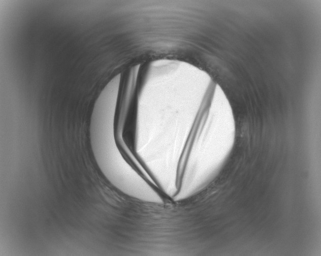 X0000068270868200605121843