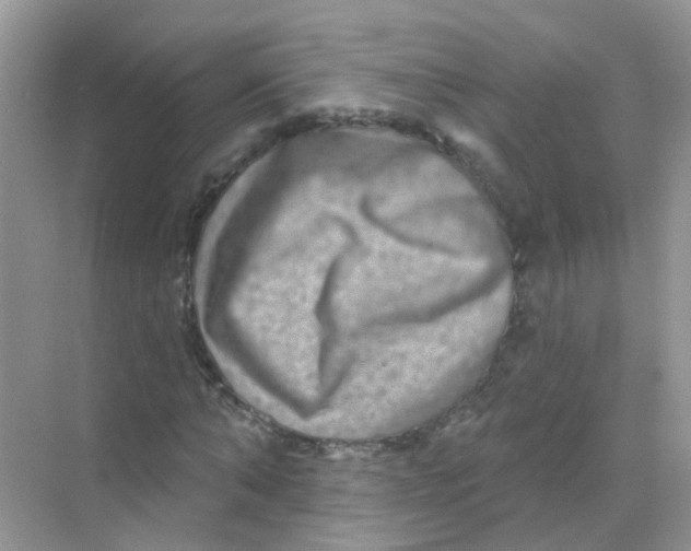 X0000068270870200605121843