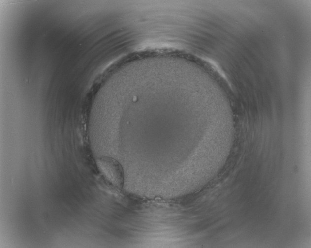 X0000068270871200605121843