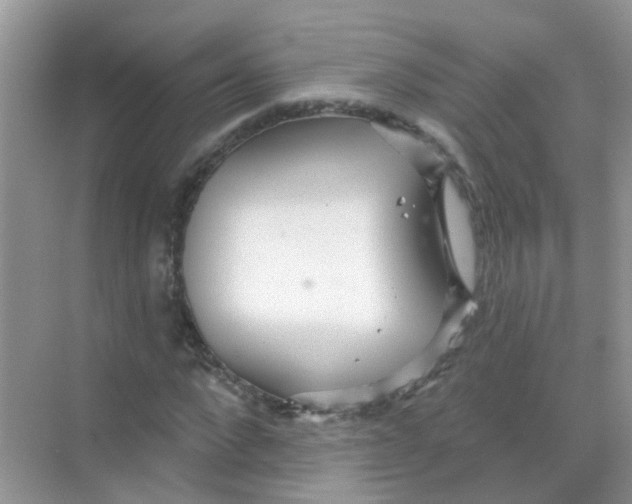 X0000068270872200605121843